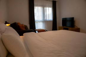 Cozy Studio Sanpetru